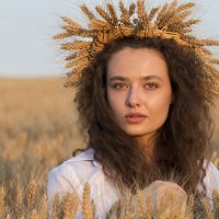 В пшенице :: Дина Горбачева