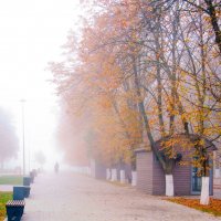 Утренний туман :: Светлана 