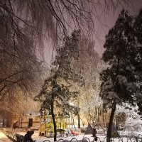 Зима :: Анастасия Баукина 