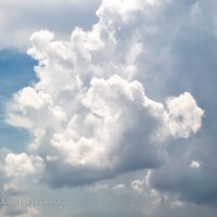 Красивы летом кучевые облака... :: Анатолий Клепешнёв