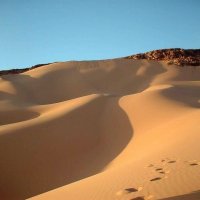 Песок пустыни Сахара :: Вера Щукина