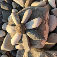 Каменный цветок :: Pippa 