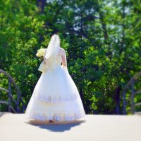 Сбежавшая невеста... :: Дмитрий 