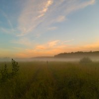 Мой Ёжик уходит в туман... :: Дарья Меркулова