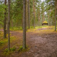 Лесная часовня. :: Олег Бабурин