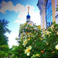 Роза у храма :: Сергей Кочнев
