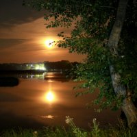 Лунная ночь :: Нэля Лысенко
