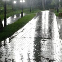 Ночной дождь :: galina bronnikova 
