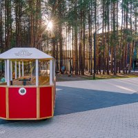Ухтинский трамвайчик для детей в Детском парке) Это что-то новое) :: Николай Зиновьев