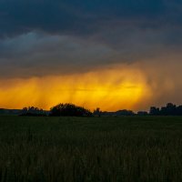 Перед грозой :: Игорь С