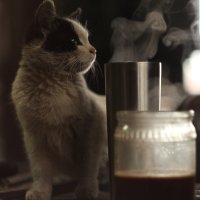 кофе, кофе - главное запах :: Максим Манчак