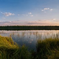 Панорама: Небольшое таежное реликтовое озеро Пионерское в Ухте, источник лечебного сапропеля :: Николай Зиновьев