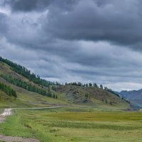 Предгорье Алтая :: Виктор Четошников