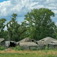 Сибирская глубинка. Домики в деревне :: Дмитрий Конев