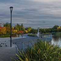 Осень в городе. :: Aleksey Afonin