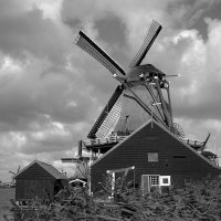 Ветряные мельницы в Zaanse Schans   Нидерланды :: wea *