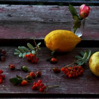 Про фрукты и ягоды :: Юрий Гайворонский