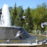 Вода и  голуби... :: Андрей Хлопонин
