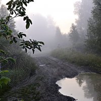 Там, за туманами... :: Геннадий Ячменев