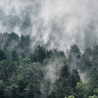 Туман после дождя. :: Василий Дворецкий