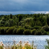 Начало осени. :: Владимир Безбородов