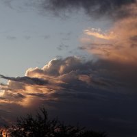 Небо на закате :: Антонина Гугаева