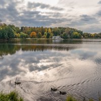 Осенний пруд... :: Владимир Жданов