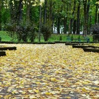 Осень в городском саду. :: Милешкин Владимир Алексеевич 