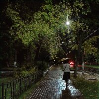 Вечер,Дождь :: Валентина Береснева