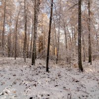 Вот и снег! :: Вадим Басов