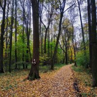 Осень в парке :: Андрей Лукьянов