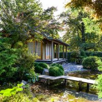Японский сад 2 :: Константин Шабалин