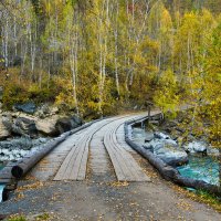 Осенний мостик... :: Алексей Мезенцев