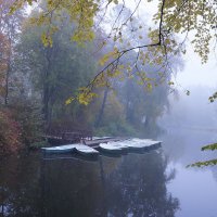 В Павловском парке. :: Елена 