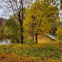Осень в Спасском :: Елена Кирьянова
