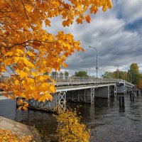 Мост в осень :: Владимир Бодин