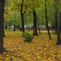 Один Зелёненький :: юрий поляков