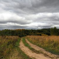 Тяжёлые тучи октября. :: Милешкин Владимир Алексеевич 