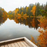 Осень :: Олег Загорулько