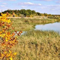 Осень на озере Медвежьем. :: Восковых Анна Васильевна 