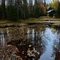 Осень... :: Аркадий Соловьев