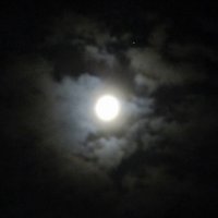 Тут как-то ночью мне в окно Луна с Венерой заглянули... :: Михаил Андреев