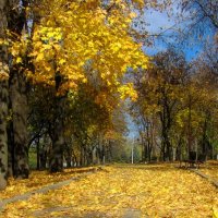Осень на набережной Донецка. :: Геннадий Прохода
