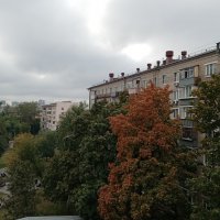 Осень. :: Владимир Драгунский