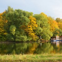 Москва. Воронцовский парк. Осень. :: Наташа *****