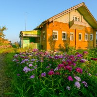 Утро :: Александр Силинский