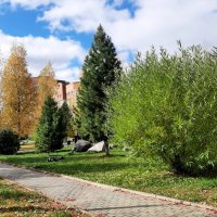 Субровский парк осенью :: Алевтина 