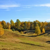 Царицынская долина :: Анатолий Колосов