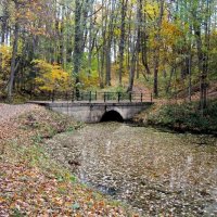 Всё листьями осенними покрыто и не понять, где суша, где вода... :: Лия ☼