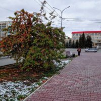 Первый снег в городе! :: Елена Хайдукова  ( Elena Fly )